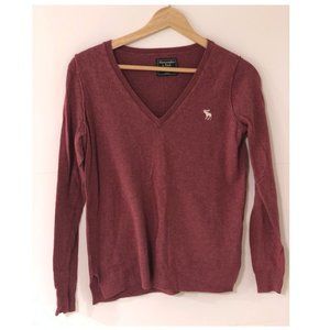 Abercrombie Icon V-neck sweater
